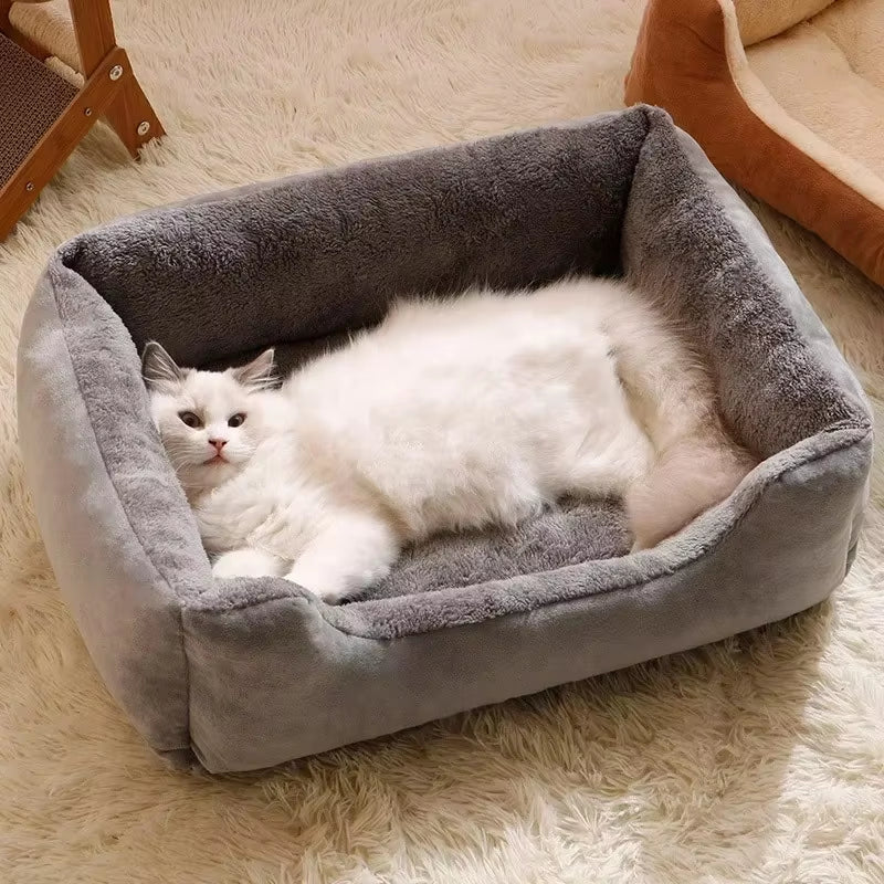 Cat resting against the padded bolster wall of the pet bed