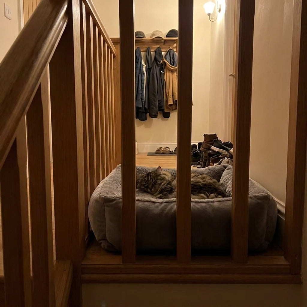 Beautiful and cozy