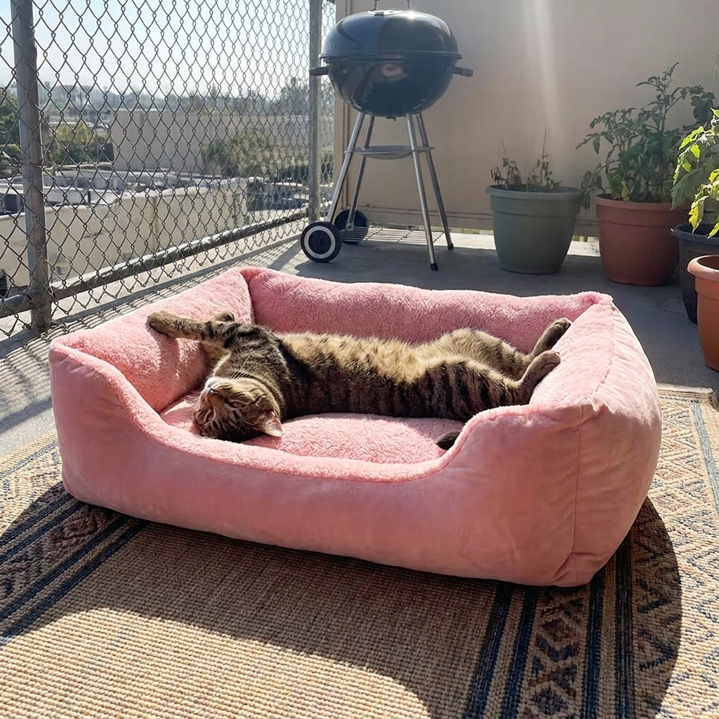 Approved by my lazy cat