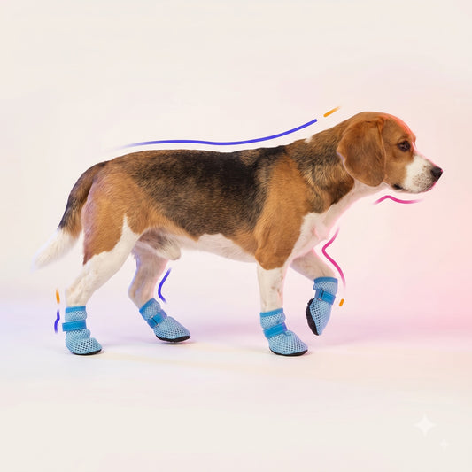 Breathable Mesh Dog Shoes - Soft Sole Non-Slip Paw Protectors for Small Dogs